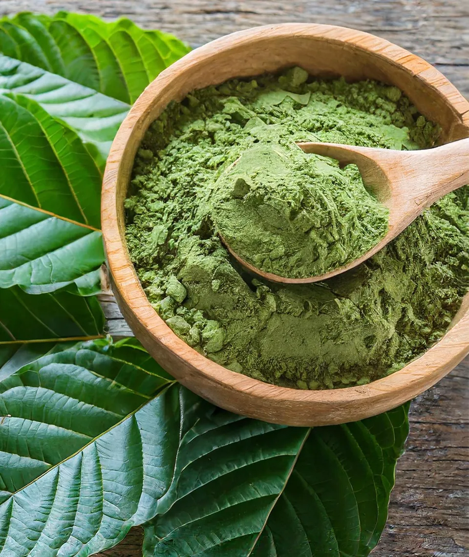 Quality Kratom Guaranteed Bowl of Kratom Powder